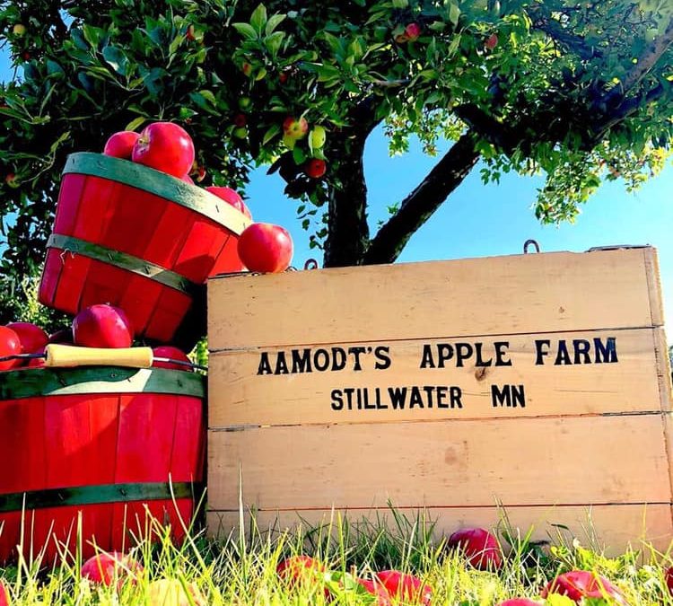 Aamodt’s Apple Farm Family Owned Since 1948 – Stillwater, MN