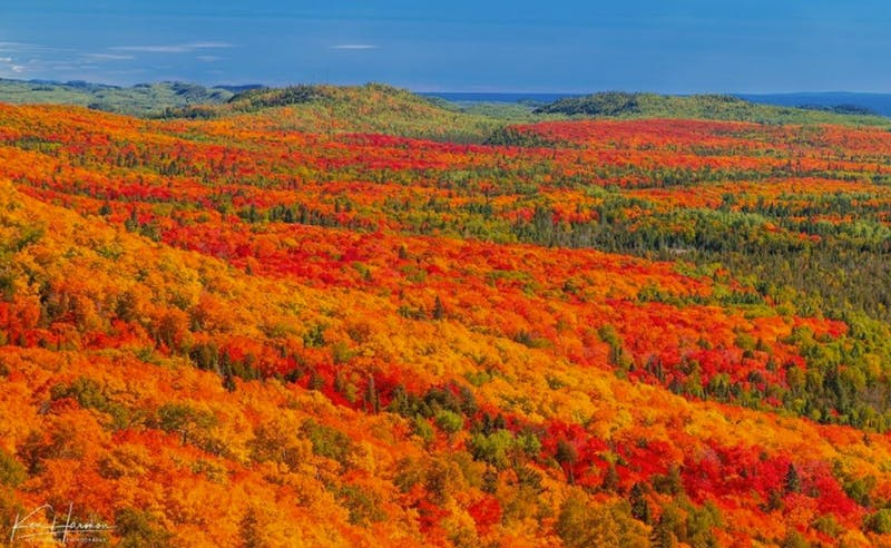 Leaf-Peepin’ Alert: Fall Colors on the North Shore are Poppin’ – Minnesota