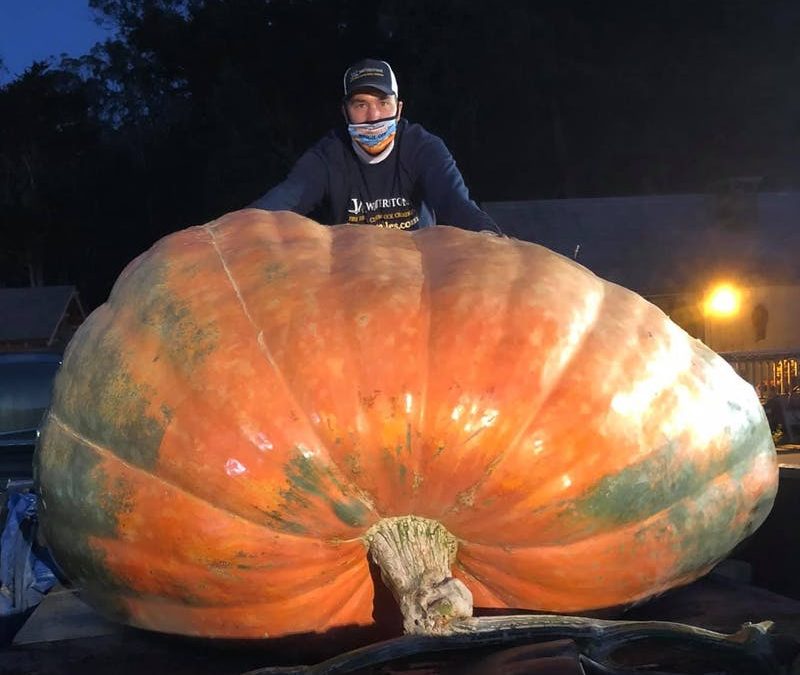 Look at this Anoka Man’s 2,350-pound World Champion Pumpkin – Minnesota