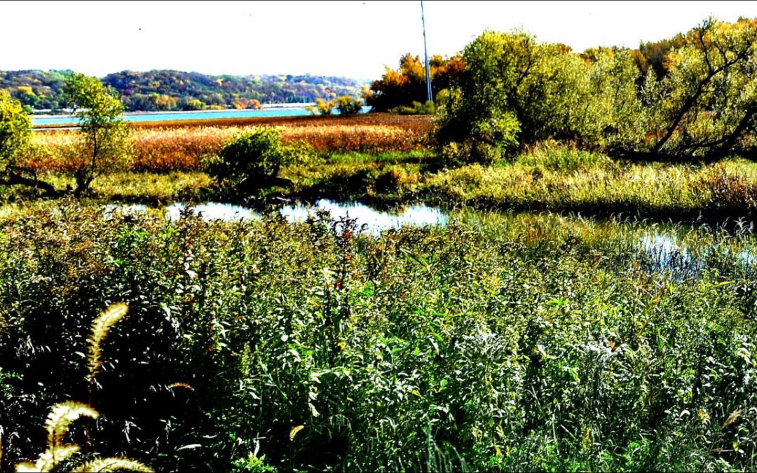 St. Paul reaches for Waterfront Potential with a New Nature Center, Mississippi River Balcony…