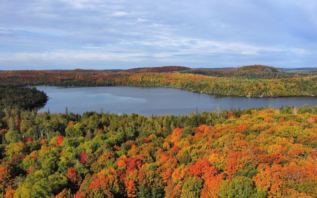 Where to See Fall Colors in Minnesota & Fall Color Report – Cook County, MN