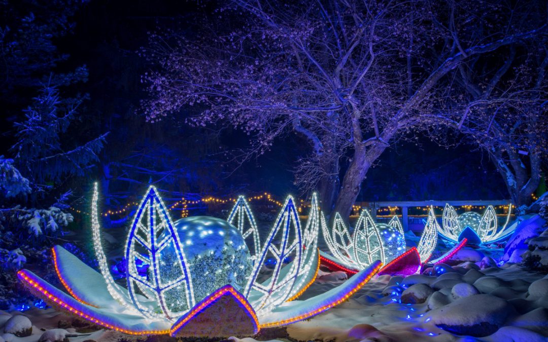 Minnesota Arboretum Gardens get Decked-Out in Winter Lights! – Chaska, MN