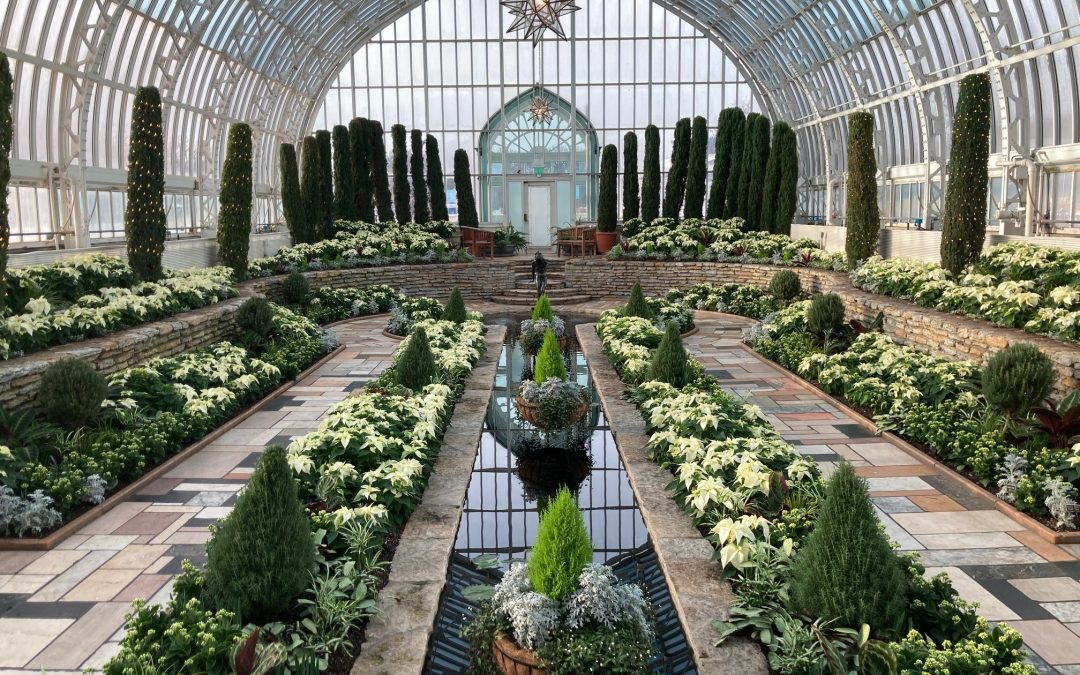 Como Park Conservatory Holiday Flower Show – St. Paul, MN