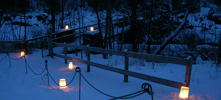Itasca State Park’s Twinkle Light Trail – Itasca, MN