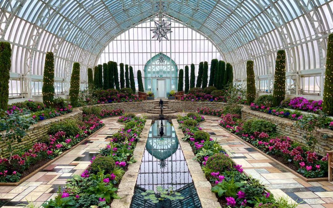 Marjorie McNeely Conservatory: The Winter Flower Show is in Full Bloom – St. Paul, MN