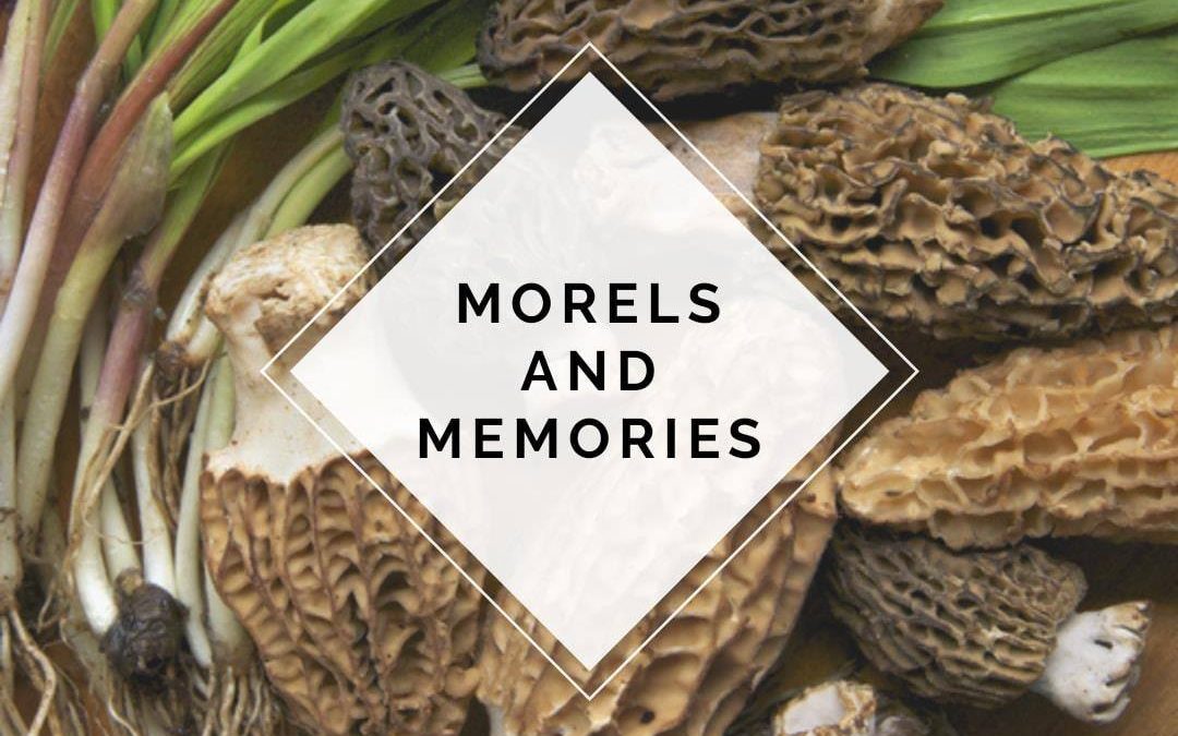 Morels & Memories: The Elusive Minnesota State Mushroom – Watertown, MN