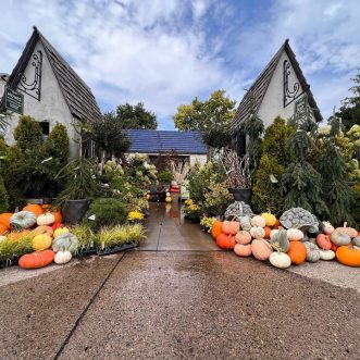Tangletown Gardens: View a bountiful assortment of pumpkins locally grown! – Minneapolis, MN