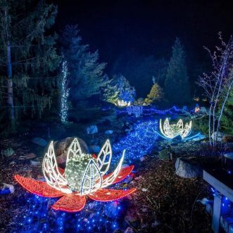 Arboretum Gardens Winter Lights Season Opens! – Chaska, MN