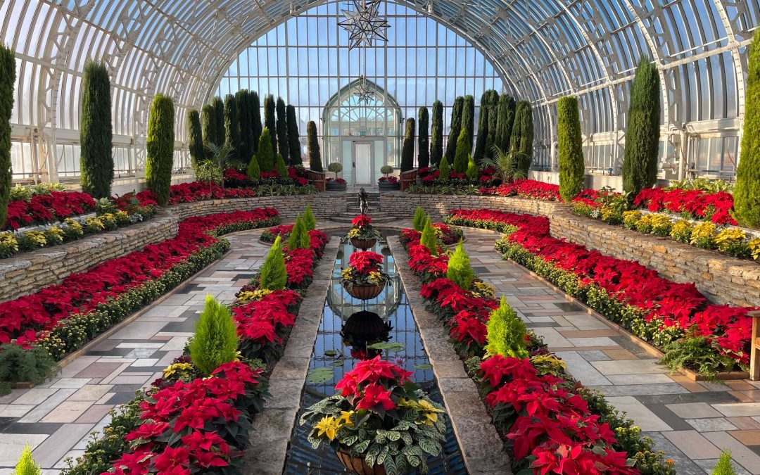 DNMI: Marjorie McNeely Conservatory Holiday Flower Show – St. Paul, MN
