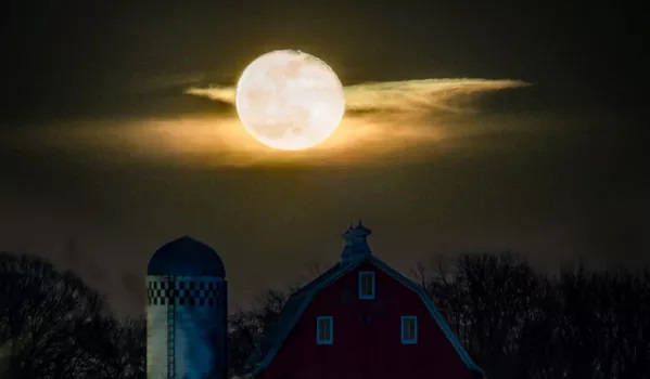 Minnesota Landscape Arboretum Full Moon Hikes – Chaska, MN