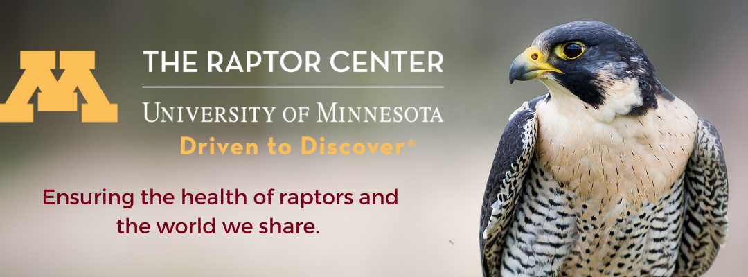 University of Minnesota Raptor Center Public Tours – St. Paul, MN