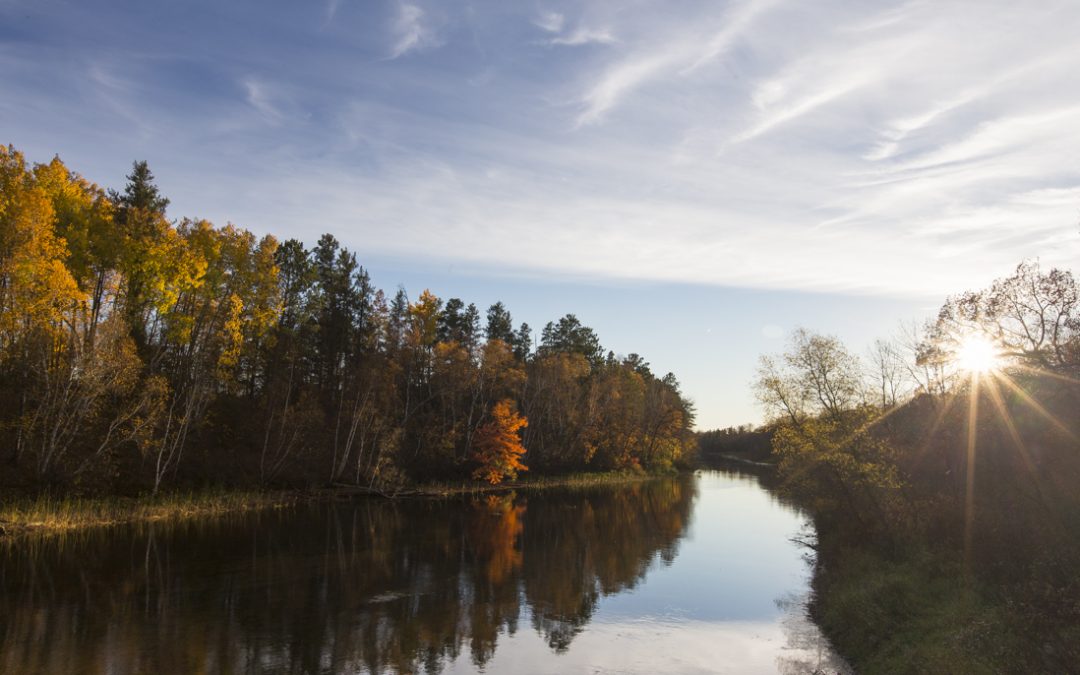 The Nature Conservancy in Minnesota: Half of Minnesota’s waters are polluted!