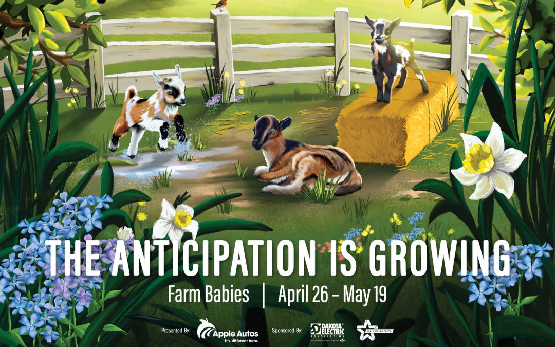 The Minnesota Zoo: Annual Farm Babies Event! – Apple Valley, MN 